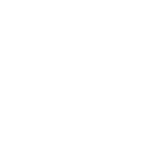Schoenefeld icon